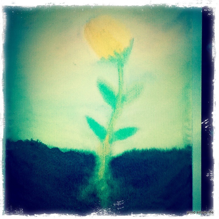 德福台湾考点_德福考试考点